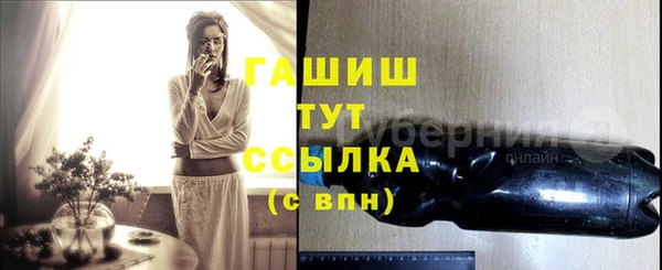 индика Мегион