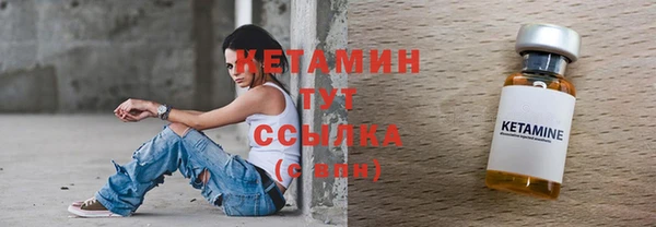 индика Мегион