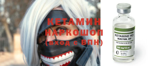 индика Мегион