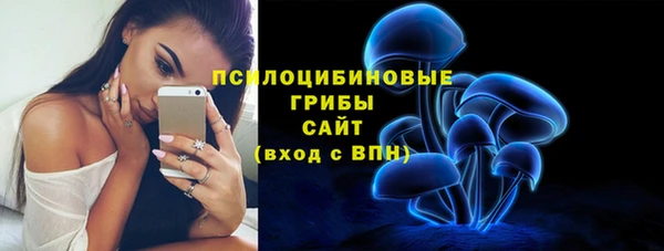 spice Медногорск