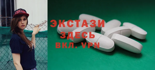 индика Мегион