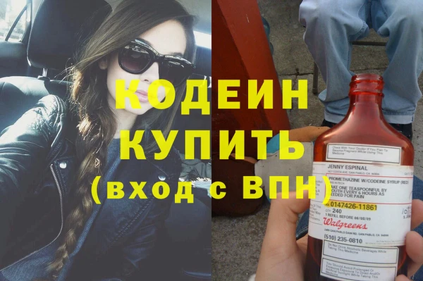 индика Мегион