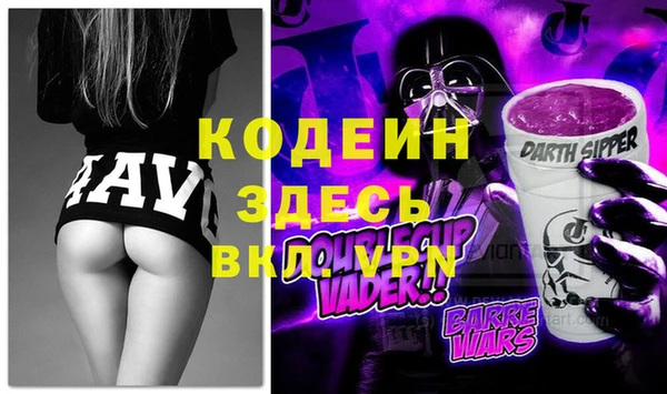 индика Мегион