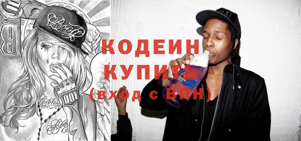 индика Мегион
