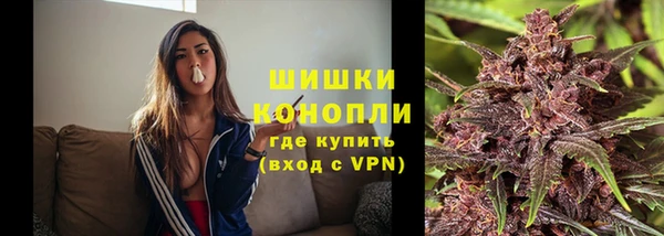 индика Мегион