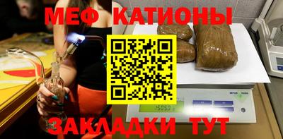 индика Гатчина