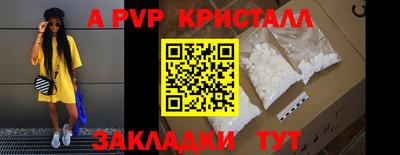индика Гатчина