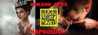 индика Гатчина