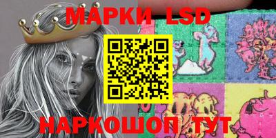 индика Гатчина