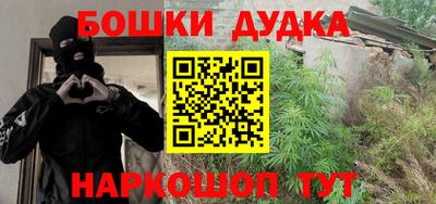индика Гатчина