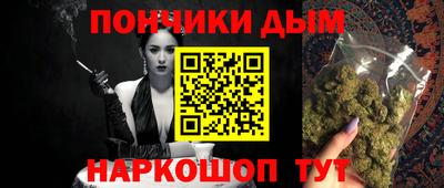 индика Гатчина