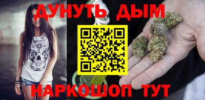 индика Гатчина