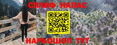 индика Гатчина