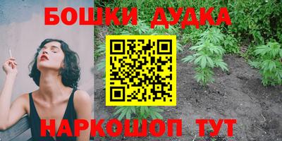 индика Гатчина