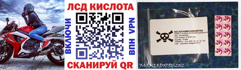 Наркотические марки 1,8мг где продают блэк спрут зеркало Златоуст