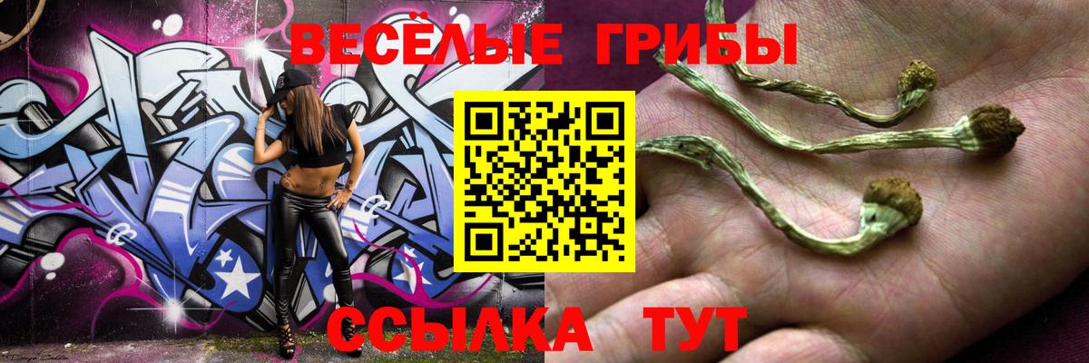 Псилоцибиновые грибы ЛСД  Вход с VPN  Златоуст 